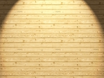 Spotlight on Wood Wall
