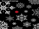Season's Greetings