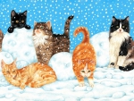 Winter cats
