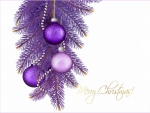 Christmas purple