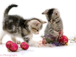 Kittens with Christmas baubles