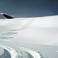 Fresh Tracks on Waimea by Michael Likierman