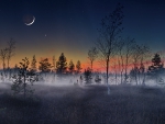crescent moon over foggy forest