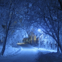 Blue Winter!
