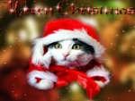 ~*~ Cat On Christmas ~*~
