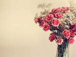 Flowers âœ¿