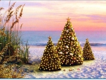 Christmas at the Beach