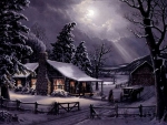 Winter Night