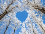 â™¥Winter Heartâ™¥