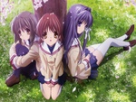 Clannad anime kyou 