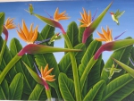 BIRDS OF PARADISE