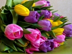 Beautiful tulips for my friend Hazel ( 	 Beautiful-Life )