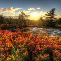 Acadia national aprk