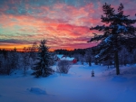 Winter Sunset