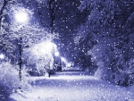 Winter night