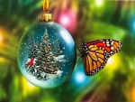 Butterfly Christmas