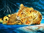 Leopards
