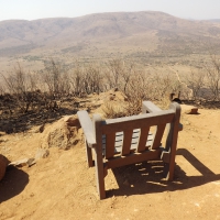 Rhino and Lion Park Bench With A Beautiful View