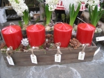 Advent Candles