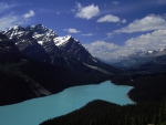 peyto lake