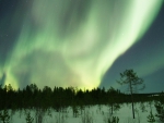 Winter Aurora!