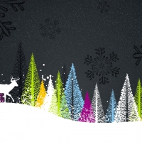 Winter Bright Colors