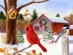 â˜…Cardinal, Chickadee & Xmas Barnâ˜…