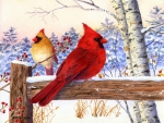 â˜…Cardinal Pair with Birchâ˜…