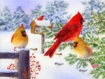 â˜…Cardinals in Snow Flurryâ˜…