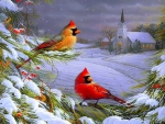 â˜…Cardinals in Winterâ˜…