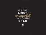 ... wonderful time of the year