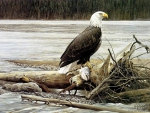 EAGLE ART