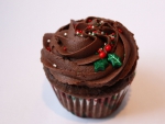 Double Chocolate Christmas Cupcake