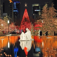 Christmas Reflections