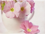 Cup of Pink Flowers