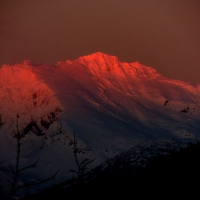Alpineglow at Whistler