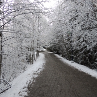 A snow covered pathway