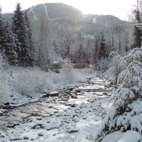An icy creek in the mountains