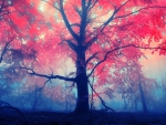 red forest