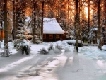 Beautiful winter  at cottage