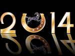 Happy New Year! 2014