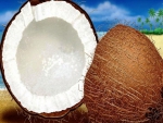Coconut
