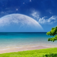 Paradise Magical Fantasy