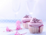 Sweet Cupcakes
