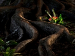 Old Tree Roots