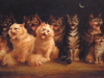 cats chorus