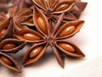 Starry Anise