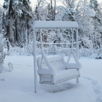 Snowy Swing