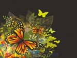 Colorful butterflies