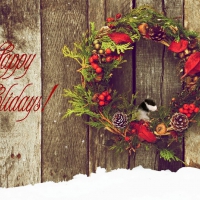 ~Happy Holidays~